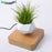 Hot Sale Levitating Air Bonsai Pot Rotation Planters