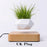 Hot Sale Levitating Air Bonsai Pot Rotation Planters