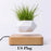 Hot Sale Levitating Air Bonsai Pot Rotation Planters